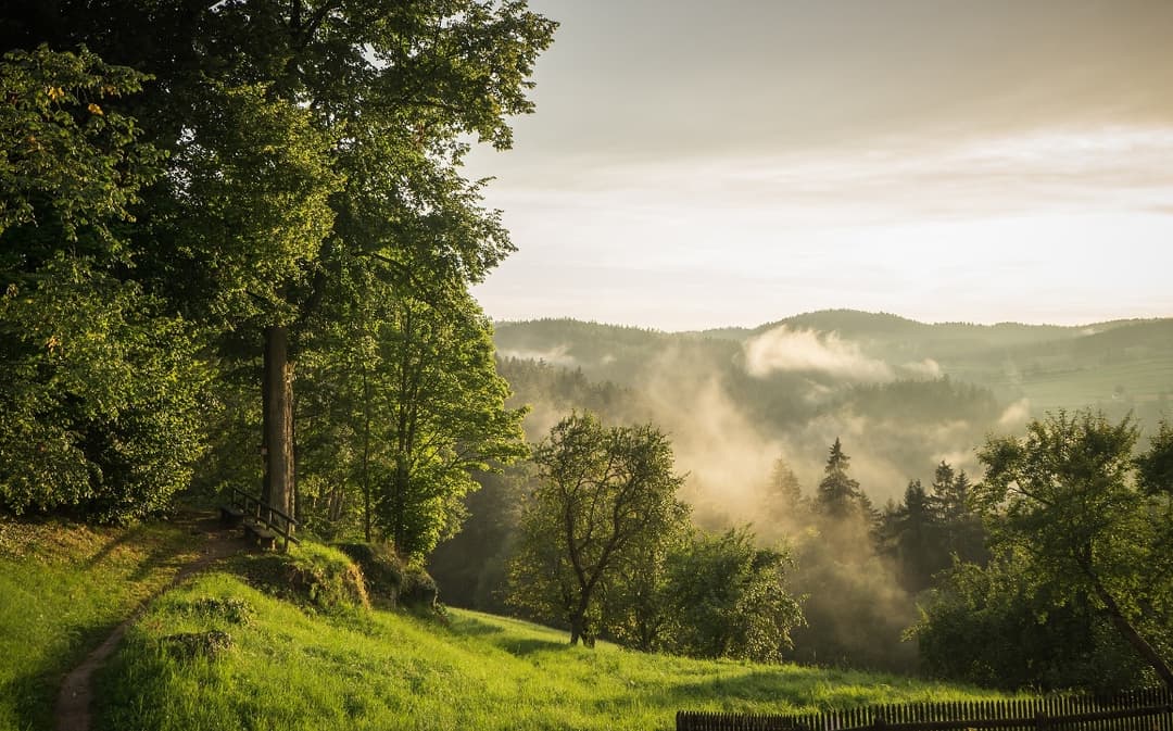 Niederösterreich